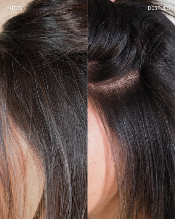 Walnut with Indigo by Henna Morena, view 3